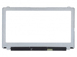 B156XTT01.2